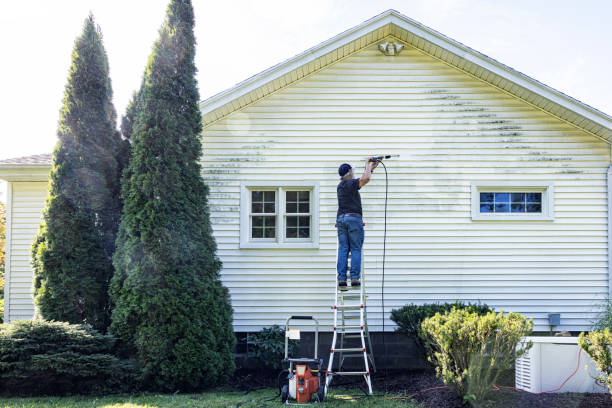 Best Solar Panel Cleaning  in Finderne, NJ